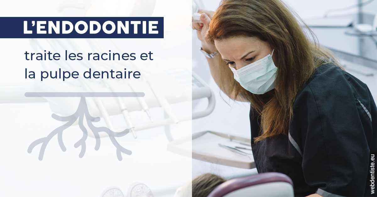 https://dr-ghadimi.chirurgiens-dentistes.fr/L'endodontie 1