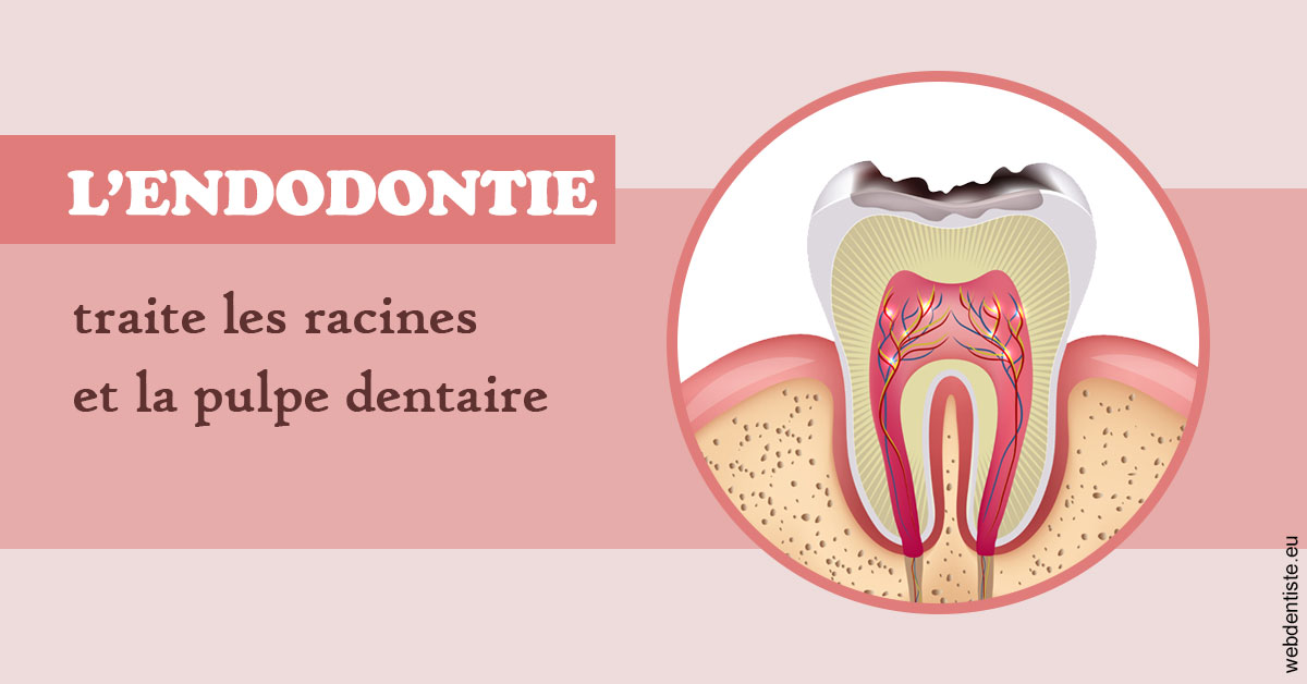 https://dr-ghadimi.chirurgiens-dentistes.fr/L'endodontie 2