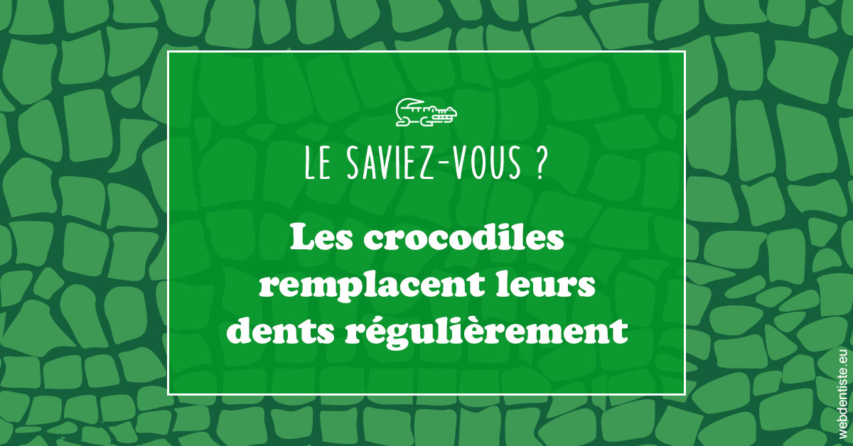 https://dr-ghadimi.chirurgiens-dentistes.fr/Crocodiles 1